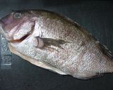 旅先で釣った鯛で、鯛めし。作り方1写真