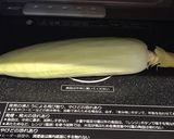 レンジでチン！とうもろこしのスープ♡作り方1写真