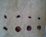 Ｒｕｍｍｙちっくなミニチョコ作り方2写真