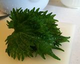 フライパン？餃子！作り方2写真