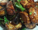 魚河岸あげと茄子の甜麺醤炒め作り方11写真