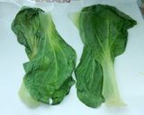 餃子の王将☆青梗菜ロール作り方1写真