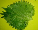 たこ飯（みそ汁付き）作り方23写真