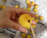 完熟梅のシロップ作り方7写真