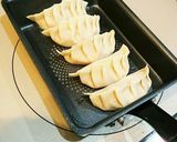 チキン餃子・ソルティーレモン味作り方10写真