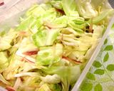キャべっ酢（キャベツの酢漬け）作り方16写真