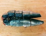 栄養たっぷり　いわしハンバーグ作り方8写真