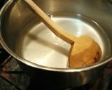 ソルティライチで心太作り方1写真