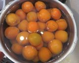 あんずの里のコンポート作り方1写真