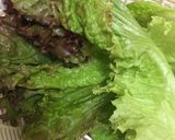 レタス(葉物野菜)のシャキシャキ保存作り方3写真