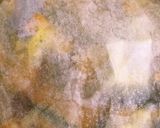お出汁香る☆ほっこり甘いかぼちゃ煮作り方3写真
