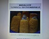 フライパンで簡単旨々トウモロコシの茹で方作り方5写真