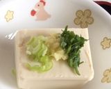 夏はやっぱり冷奴〜(o˘◡˘o)♡作り方17写真