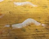 玉ねぎと白エビのかき揚げ〜(o˘◡˘o)作り方7写真