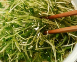 豆苗　もやし　竹輪の簡単和え物作り方1写真