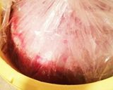 完熟南高梅で梅干し作り覚書作り方20写真