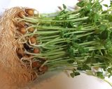 鶏胸肉のハム風サラダ作り方6写真