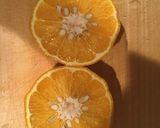 タコのセビーチェ作り方7写真