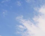 柔らか梅干しの作り方　作り方13写真