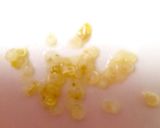 キヌアと角切り野菜のサラダ作り方1写真
