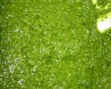 パセリでジェノベーゼ風ソース作り方5写真