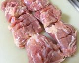 紅カラ！鶏の紅生姜唐揚げ（ザンギ）作り方2写真