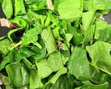 失敗しない！野菜がたくさん塩系パスタ作り方9写真