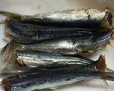 乾燥ハーブで☆イワシの香草パン粉焼き作り方1写真