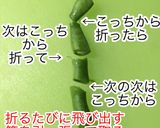 確かトルコ風…いんげんのトマト煮作り方2写真