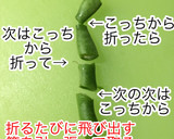 確かトルコ風…いんげんのトマト煮作り方2写真