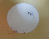 あんずジャムのアイス作り方1写真