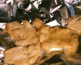 自家製、犬用ジャーキー作り方2写真