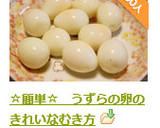 ☆簡単☆　うずらの卵のきれいなむき方作り方8写真