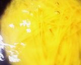 タラコクリームスパ風作り方1写真