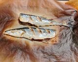 炊飯器で簡単！さんまの炊き込みご飯作り方4写真