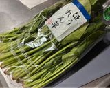簡単！節約レシピ！ほうれん草のナムル作り方1写真