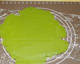 抹茶の生チョコタルト作り方5写真