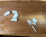 秋のレモン風味の秋刀魚パスタ作り方8写真