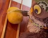 スウェーデン風🇸🇪ハッセルバックポテト🥔作り方4写真