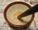 バケツ稲の恵み2024作り方5写真