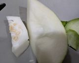 夏は冷やして冬瓜と鶏むね肉の炊いたん作り方4写真