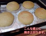 玉子２個で作る、ダブルクリームメロンパン作り方31写真