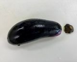 丸ごとレンチン！　なすの味噌マヨ和え　作り方2写真