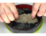 めんたい丼★動画あり★作り方11写真