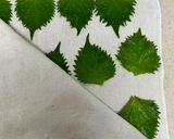大葉の塩漬け作り方1写真