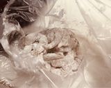 コチュジャン＆豆板醤＆甜麺醤で🦐エビマヨ作り方3写真