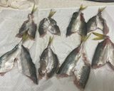 釣ったアジを美味しくアジフライにしました。作り方1写真