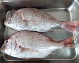 天然真鯛やイサキ等の美味しい食べ方作り方15写真