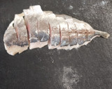 アリサの本気🐰アジのちらし寿司🐟️作り方37写真