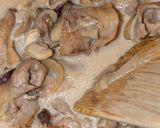 激安 豚こま肉と茸のホワイトストロガノフ作り方8写真